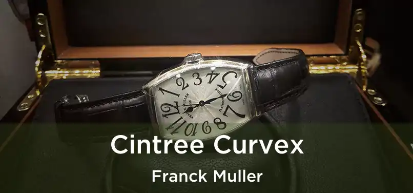  Cintree Curvex Franck Muller