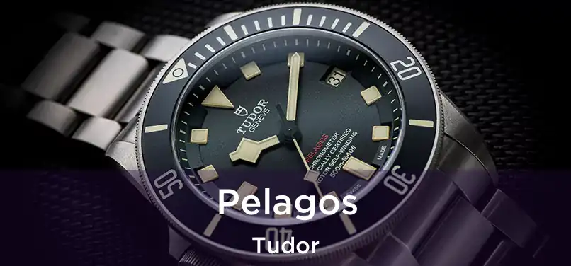  Pelagos Tudor